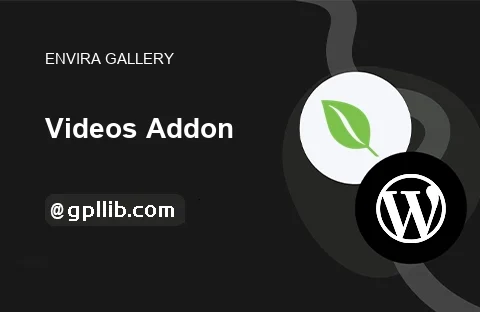 Envira Gallery – Videos Addon