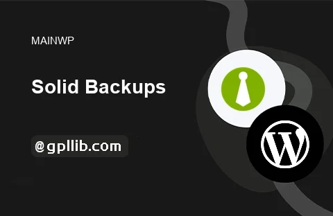 MainWP Solid Backups Extension