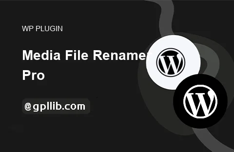 Media File Renamer Pro